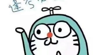 小学期末考试成绩