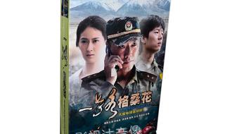 赵柯主演的电视剧