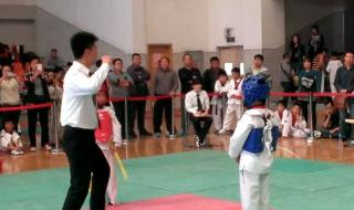 跆拳道培训要多少钱