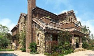 别墅出售独栋别墅